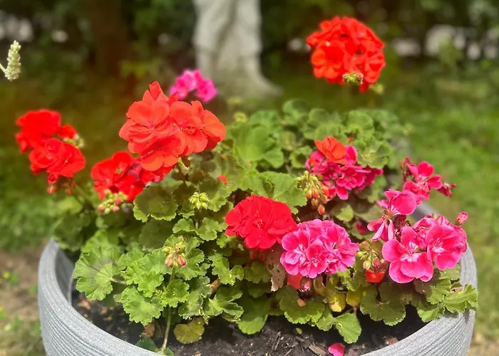 Hotel Arena Stadt 3*