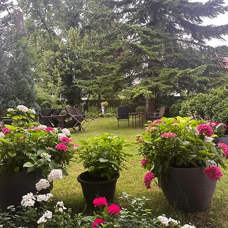 Arena Stadt Ξενοδοχείο 3*
