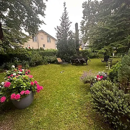 Arena Stadt Hotel 3*