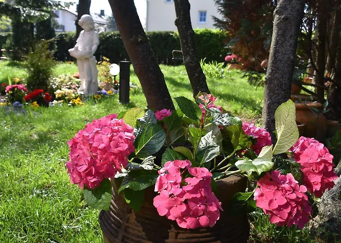 Отель Arena Stadt 3*